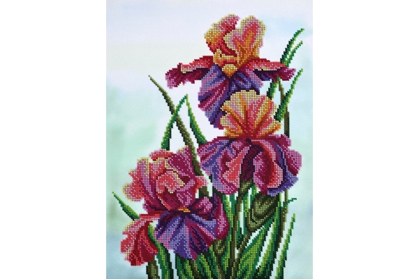 Схема для вишивки бісером "Іриси" А3Н_058